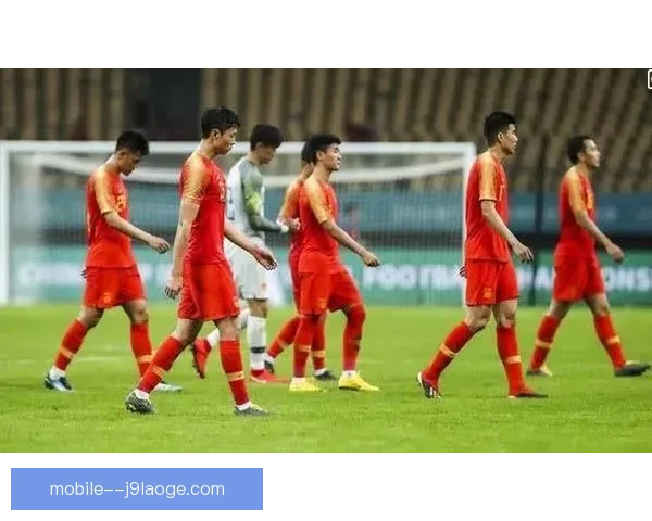 2026世界杯北美观赛指南球迷防寒防暑全攻略