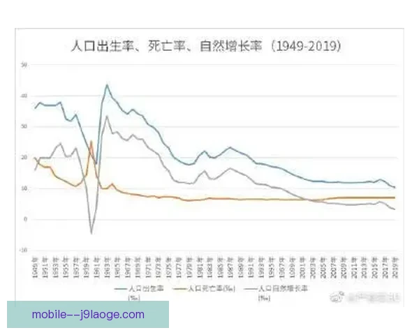 今夜德甲争冠形势突生变数豪门命运迎关键拐点走势全面深度解析